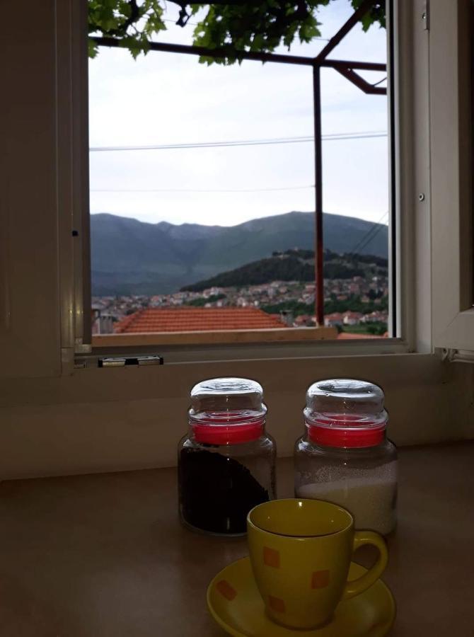 Apartment Tanja Trebinje Exterior photo